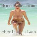 Cheating wives Akron